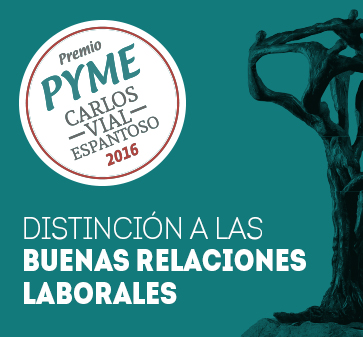 Abren postulaciones a Premio PYME Carlos Vial Espantoso 2016